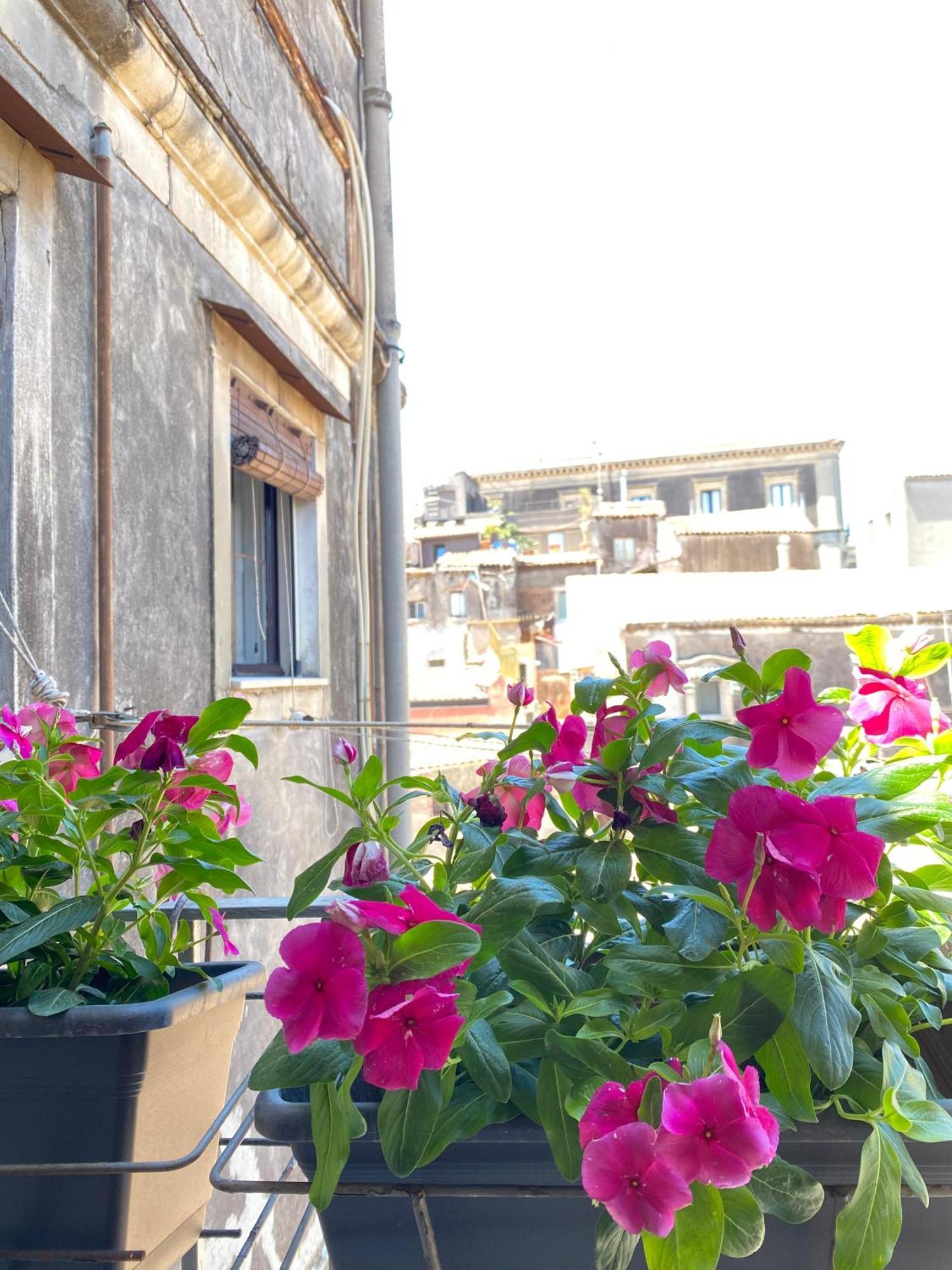 Dimora Dei Minoriti Bed & Breakfast CTA Exterior foto